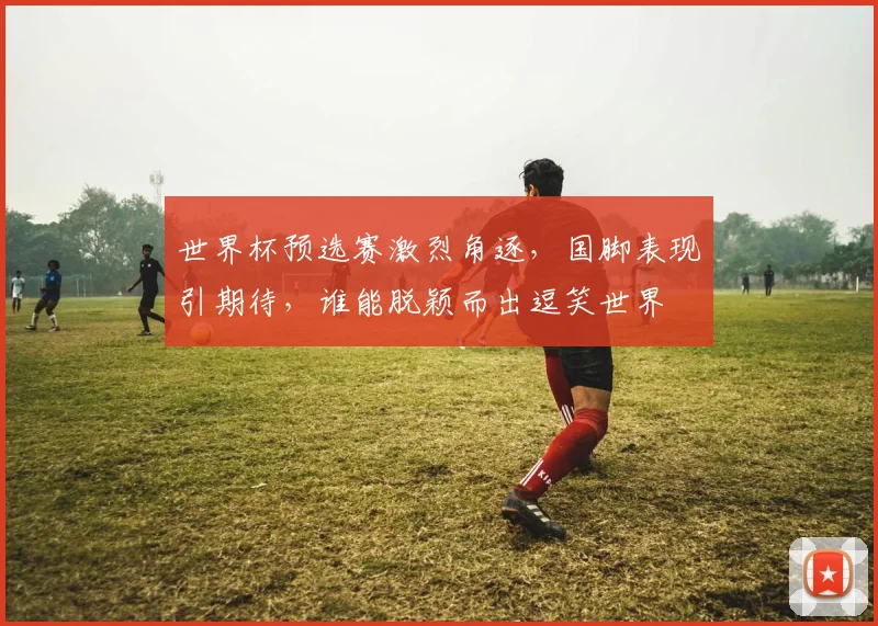 世界杯预选赛激烈角逐，国脚表现引期待，谁能脱颖而出逗笑世界