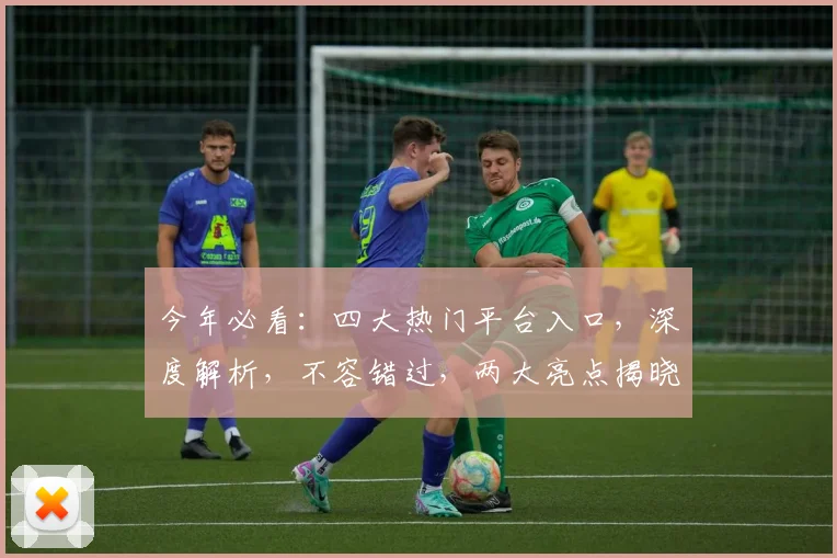 今年必看：四大热门平台入口，深度解析，不容错过，两大亮点揭晓