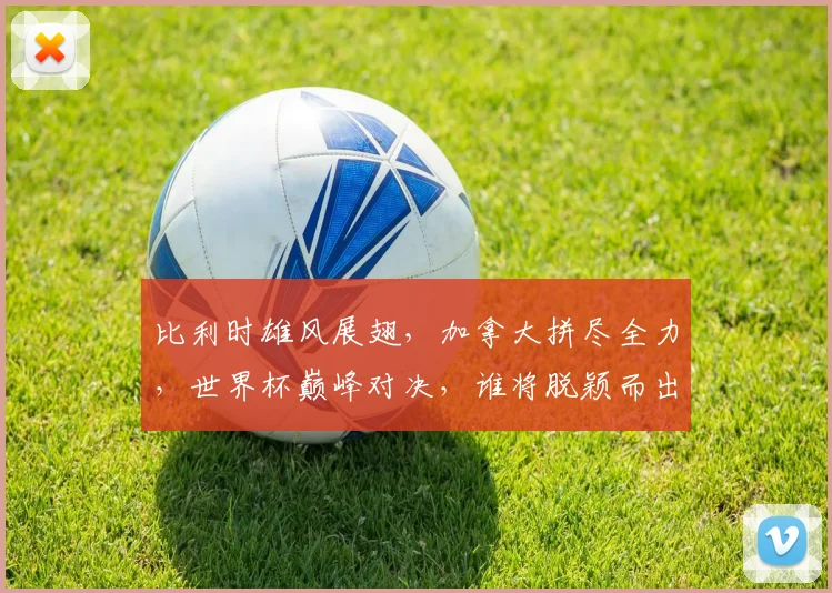 比利时雄风展翅，加拿大拼尽全力，世界杯巅峰对决，谁将脱颖而出
