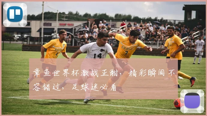 章鱼世界杯激战正酣，精彩瞬间不容错过，足球迷必看