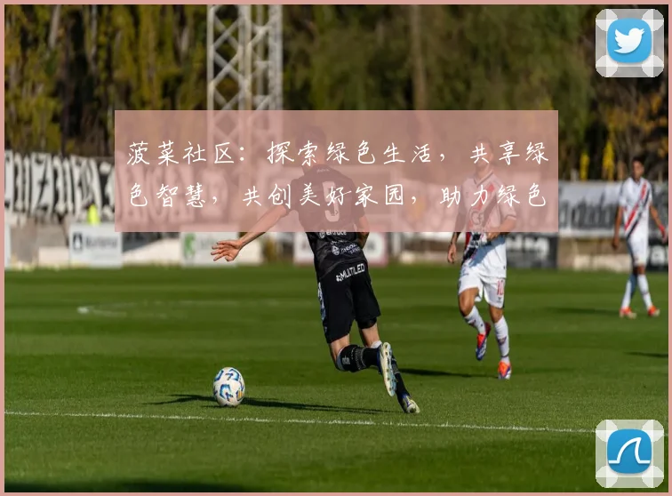 菠菜社区：探索绿色生活，共享绿色智慧，共创美好家园，助力绿色未来